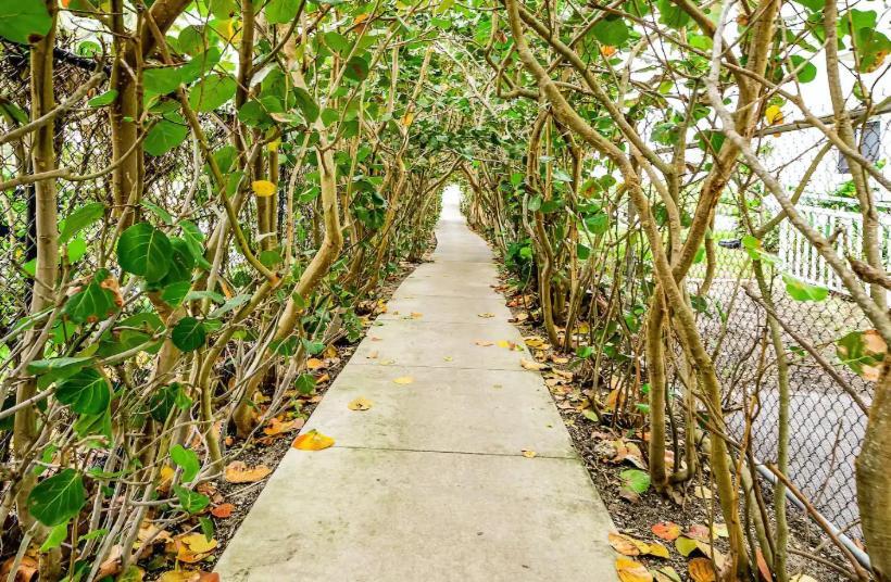 Dog Friendly Condo With Beach Access, Hot Tub, Firepit West Palm Beach Exterior foto
