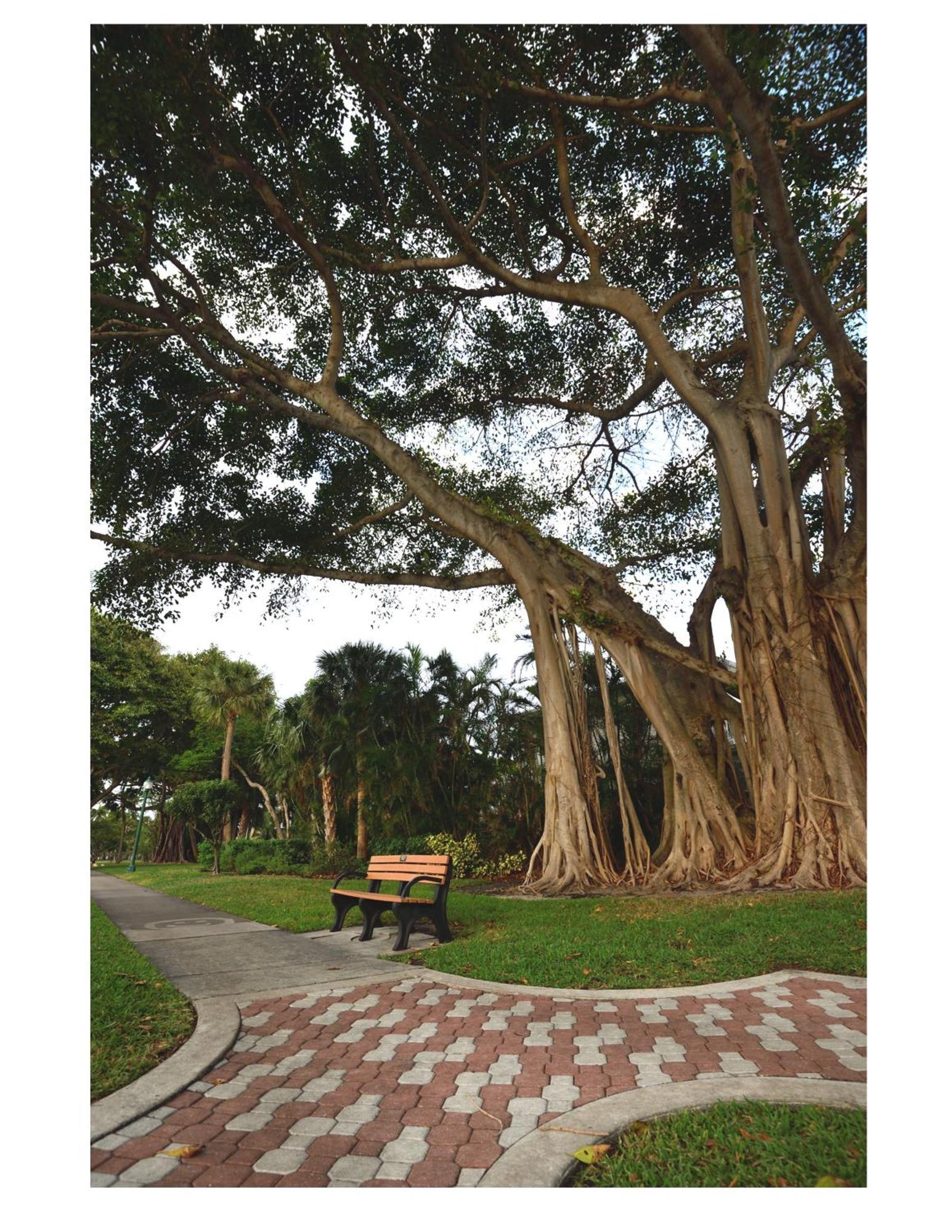 Dog Friendly Condo With Beach Access, Hot Tub, Firepit West Palm Beach Exterior foto